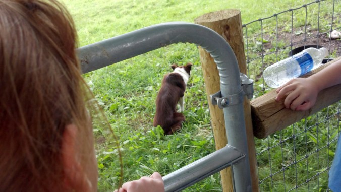 2013-07-21_14-41-52_778