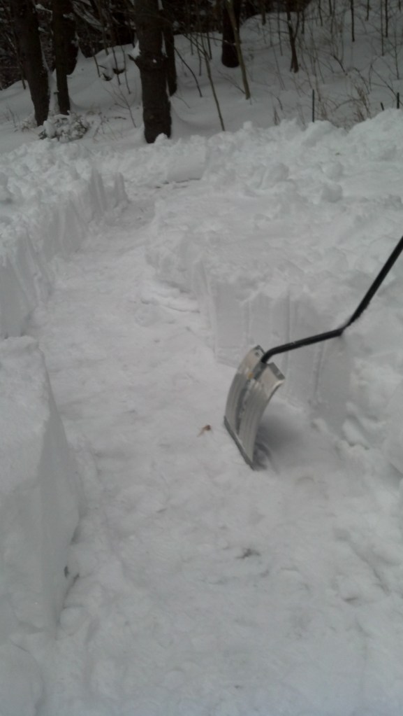 This image has an empty alt attribute; its file name is 2014-02-15_16-49-13_805-1.jpg