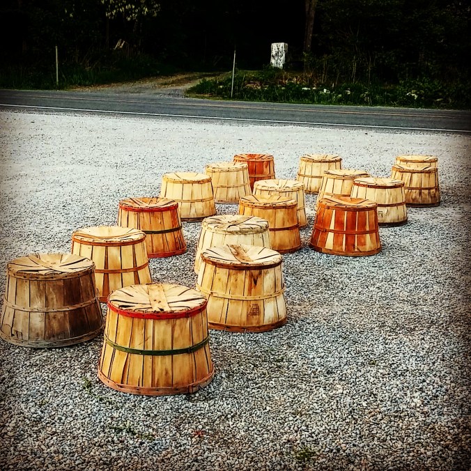 IMG_20150530_191828 - Copy