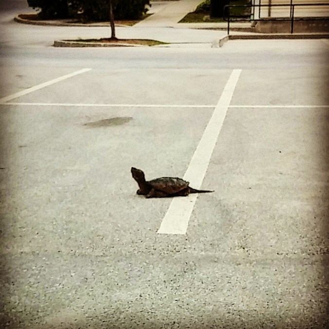 IMG_20150530_192114 - Copy