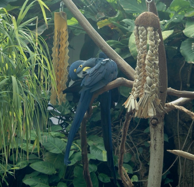 Aquarium 5