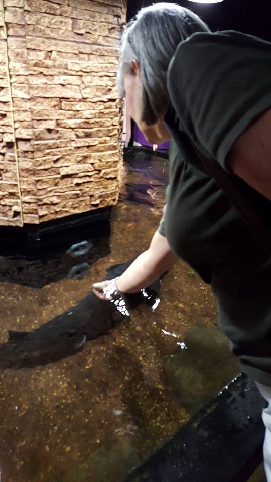 Aquarium 7