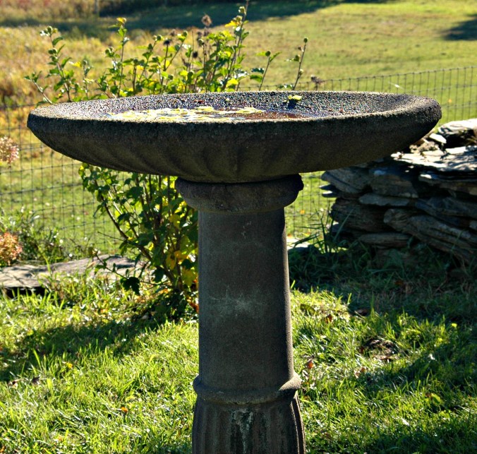 Bedlam Bird Bath