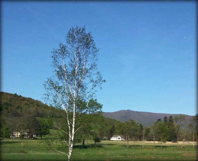 Cycling Turnaround on the Battenkill 1