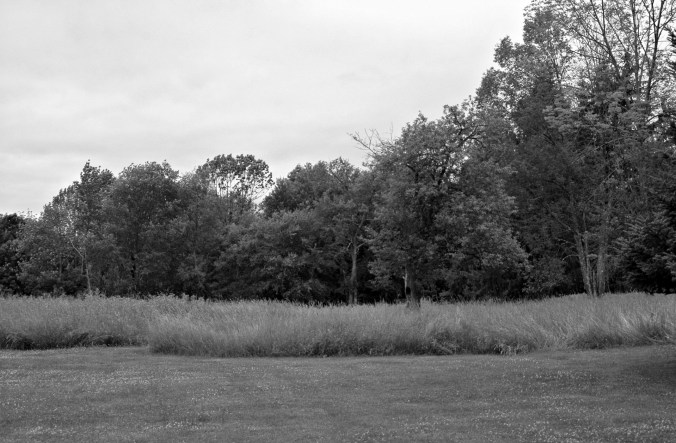 Robert Frost House Meadow and Wood