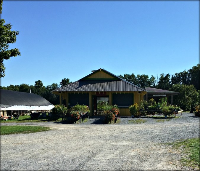 Clear Brook Farm 1 A