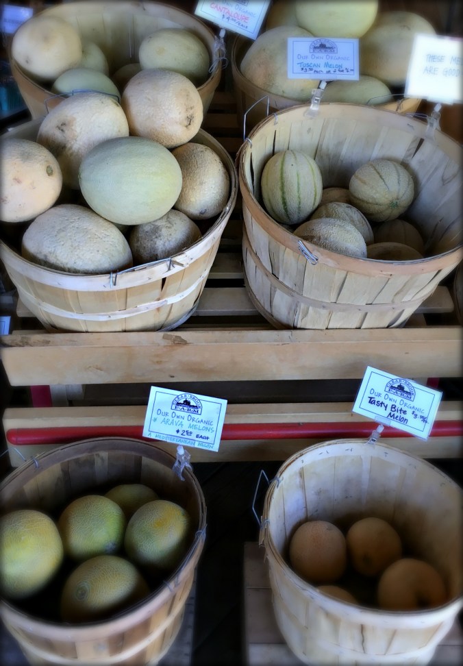 Clear Brook Farm 2 A