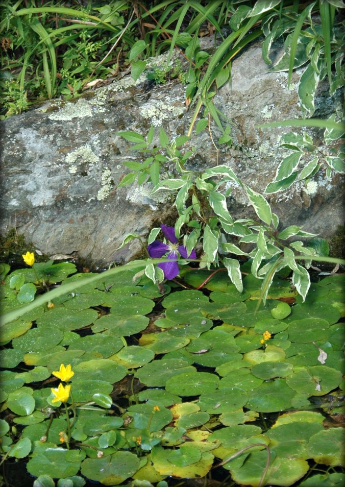 New Skete After Vespers