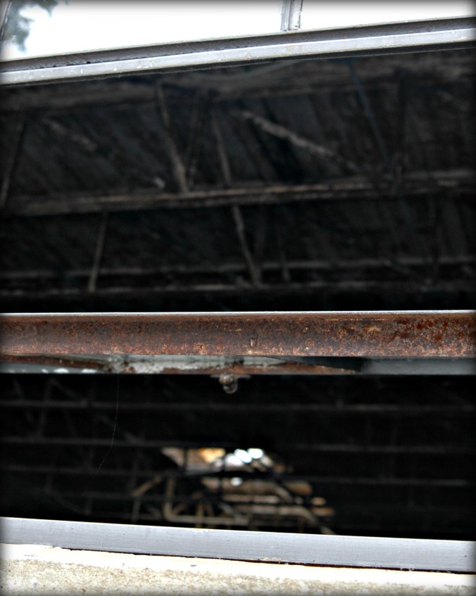 downtown-wilmington-daytime-3