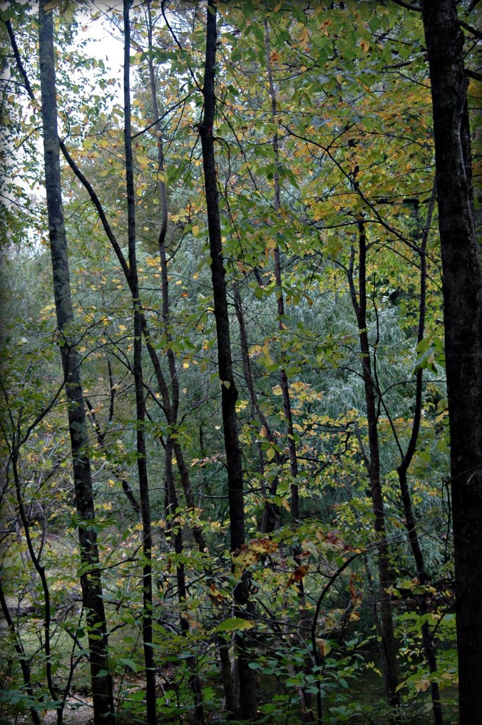 grey-battenkill-saturday-10