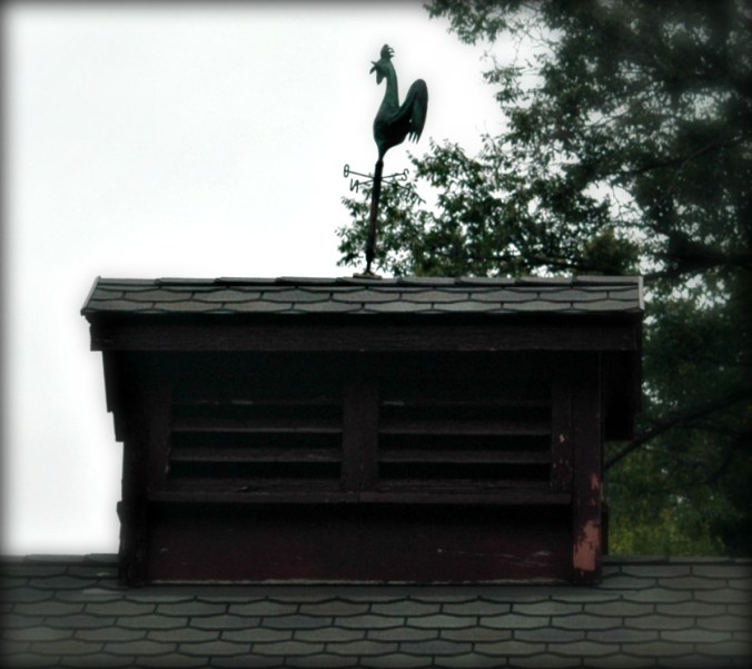 grey-battenkill-saturday-11