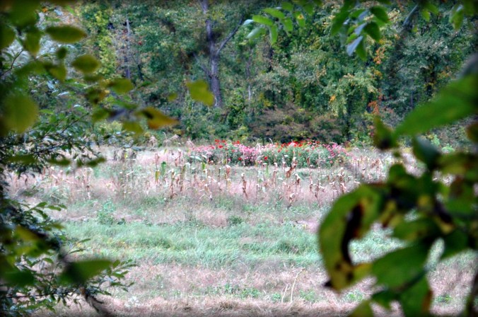 grey-battenkill-saturday-12