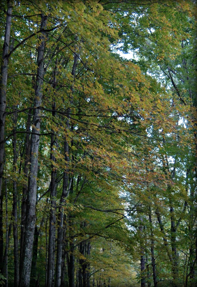 grey-battenkill-saturday-15