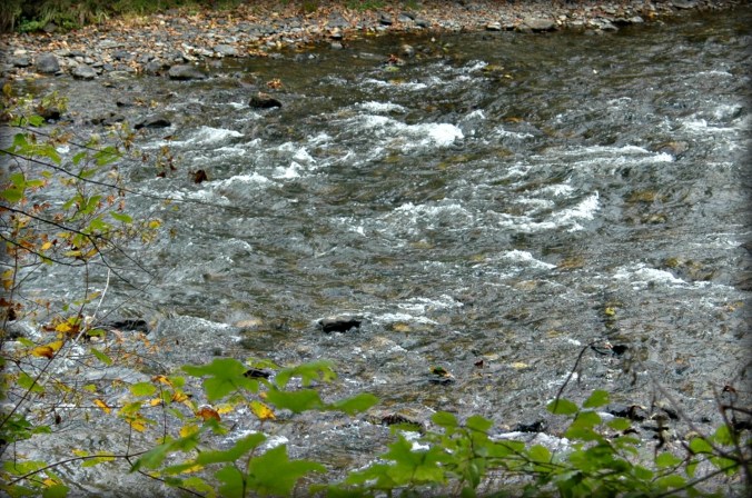 grey-battenkill-saturday-20