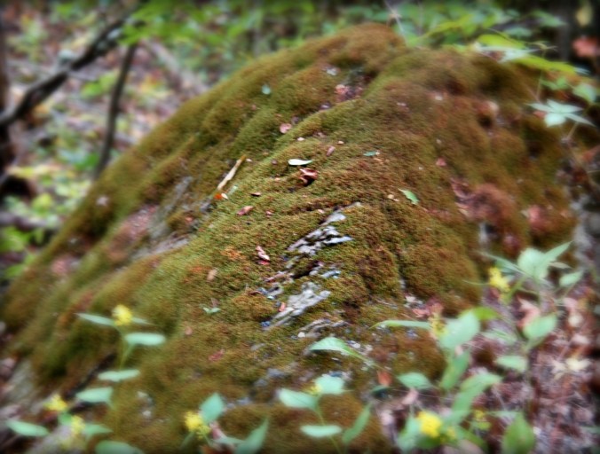 grey-battenkill-saturday-22