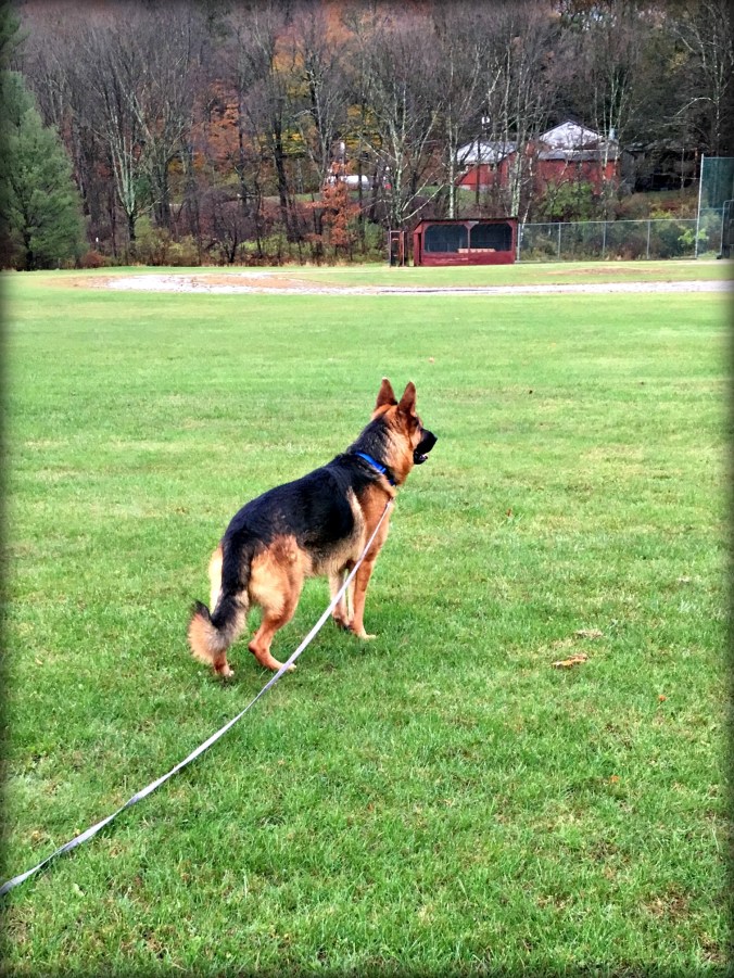 warden-at-the-park-1