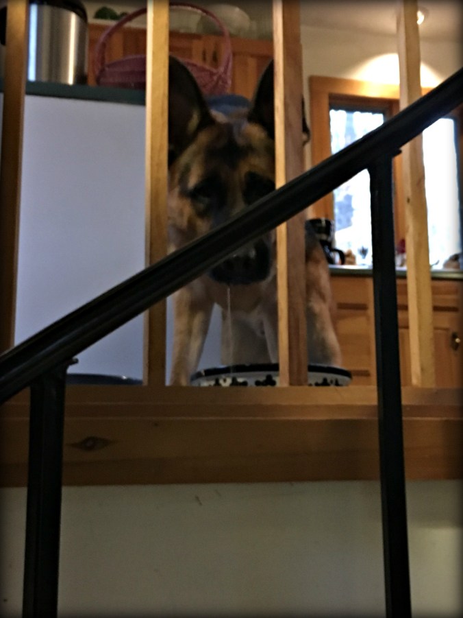 warden-basement-stairs