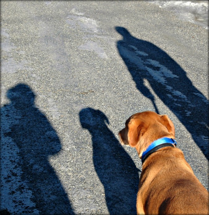 christmas_day_walk_3