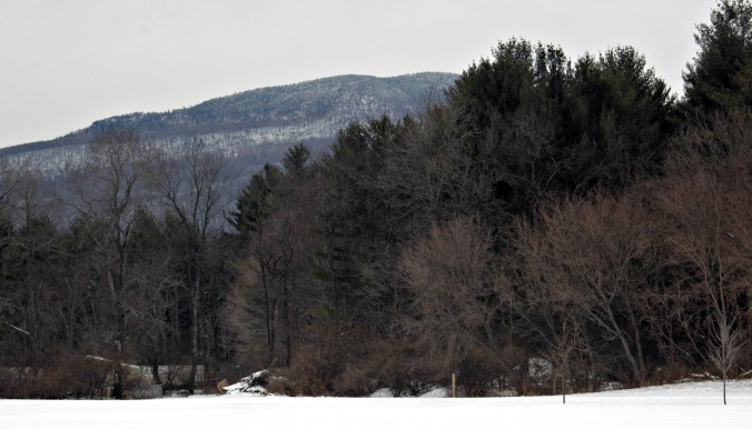 new_years_eve_walk_3