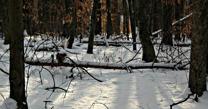 New Year's Eve Morning 2016