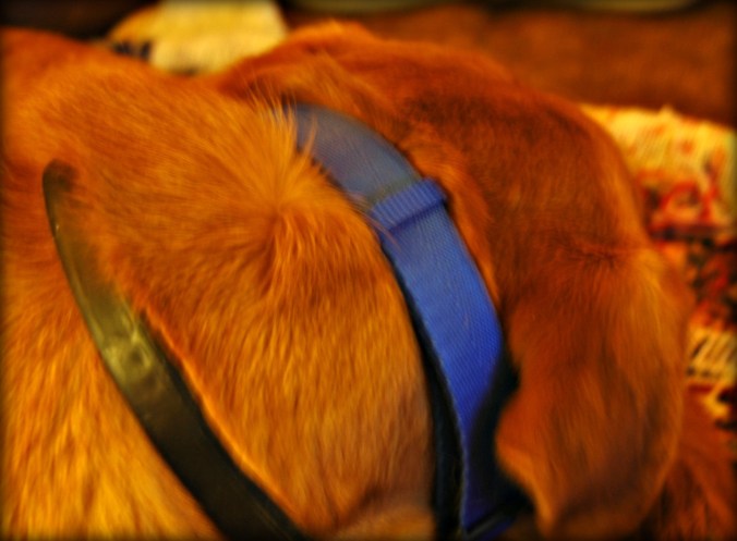 Naps are important, too.