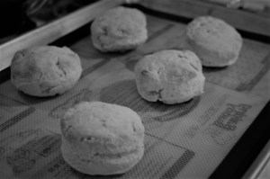 Beautifully baked biscuits on sheet pan