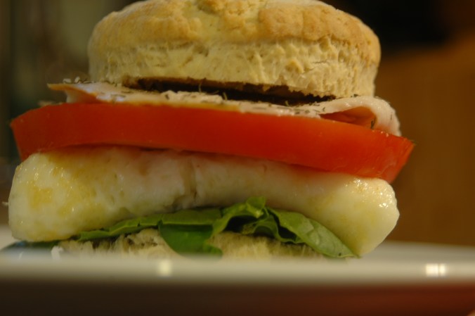 Plated biscuit sandwich in profile, in color