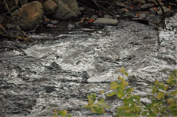 Roiling Walloomsac River